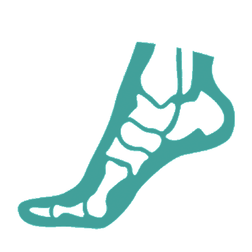 11foot orthopedics aruba